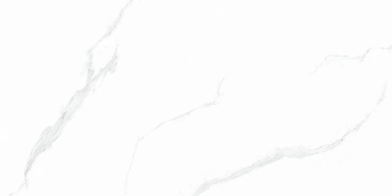 84GP001