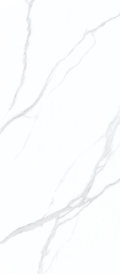 WBPA2709