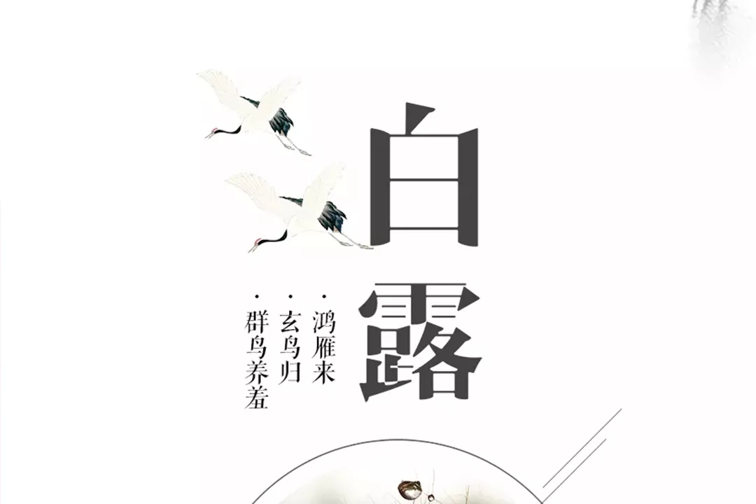【涨知识】露出今夜白
